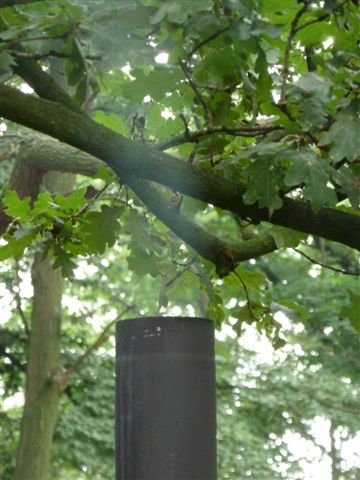 2013-08_Erste GebOT_ 397.jpg