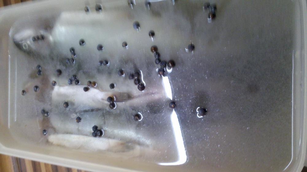 2013-12-24_23-23-26_929.jpg
