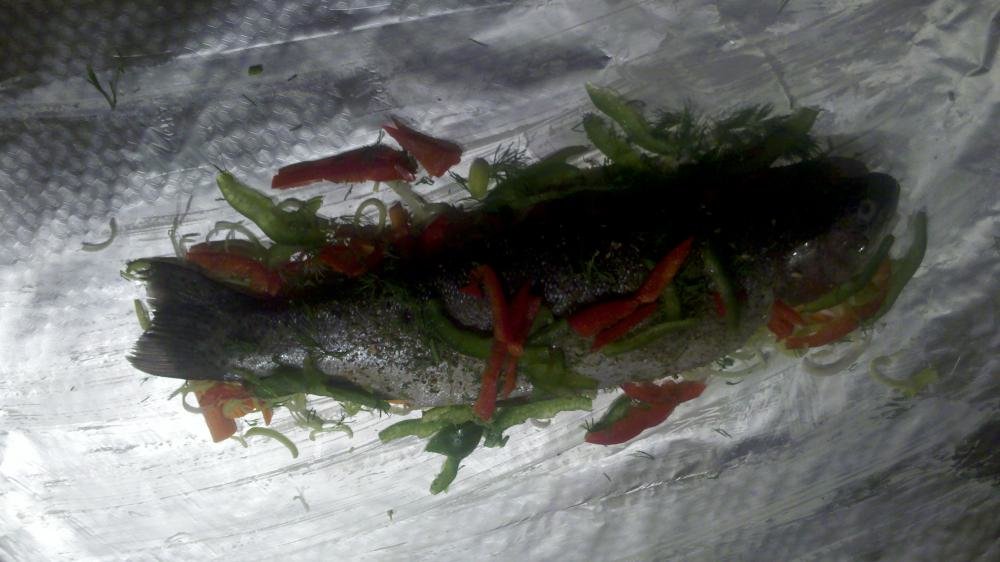 2013-12-25_15-44-13_140.jpg