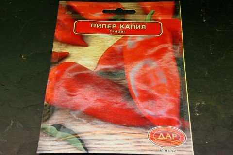 IMG_2947 (Mobile).JPG